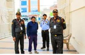 Startup Success Stories: Lessons from Industry Leaders