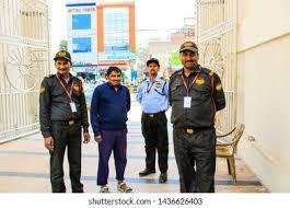 Startup Success Stories: Lessons from Industry Leaders